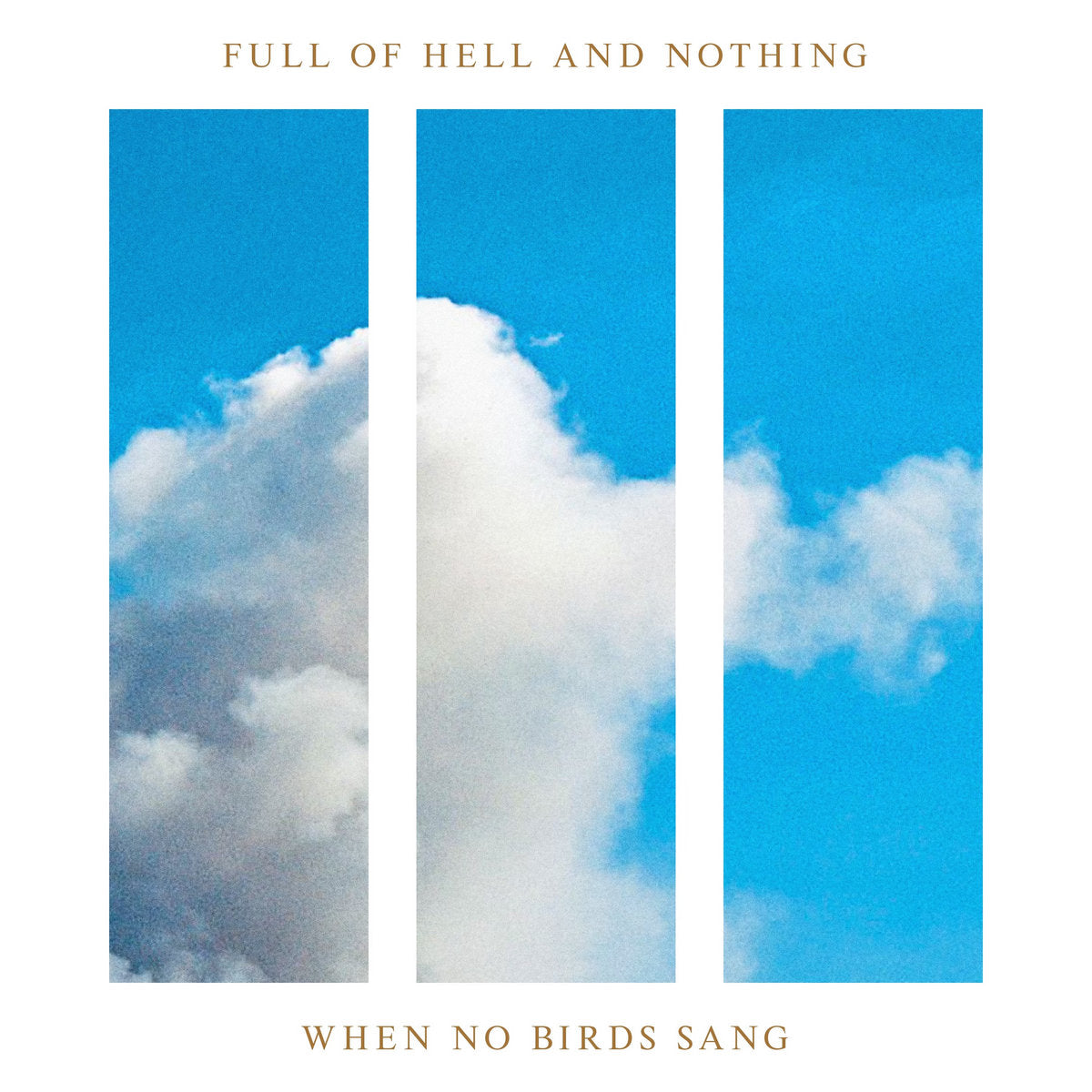 Full of Hell & Nothing - When No Birds Sang (Navy Yellow Pinwheel Vinyl)