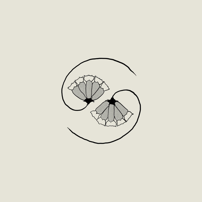 Godspeed You! Black Emperor - G_D's Pee at State's End