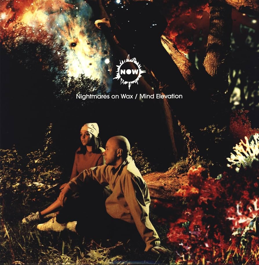 Nightmares on Wax - Mind Elevation