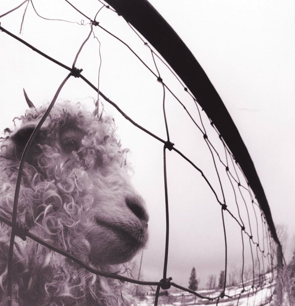 Pearl Jam - Vs. (Deluxe 30th Anniversary Edition 2LP)