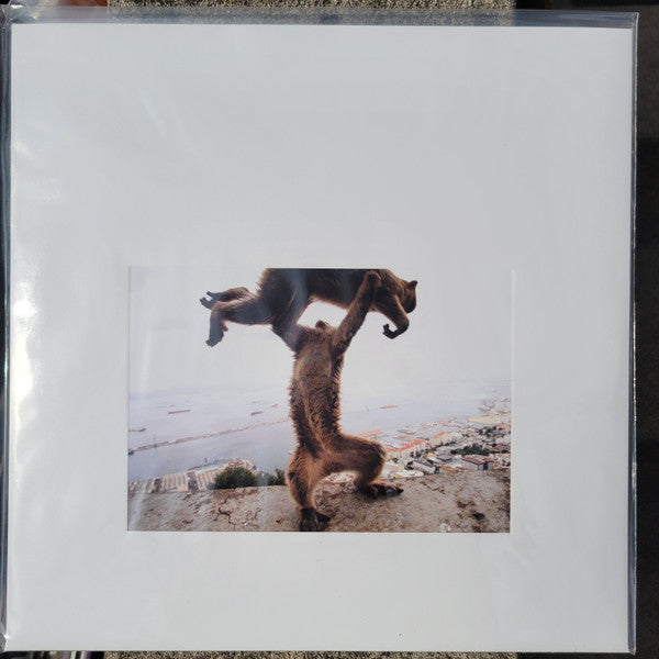 Shellac – Dude Incredible