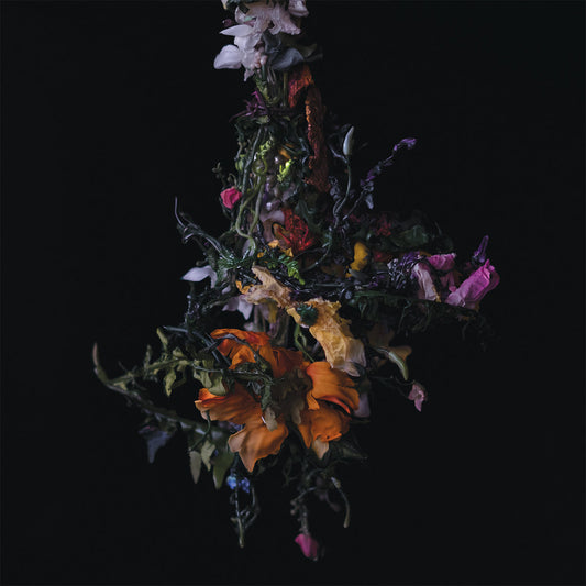 Big|Brave – Nature Morte (Lavender Vinyl)