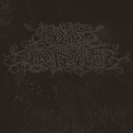 Boris & Merzbow - 04092001 (Metallic Silver Vinyl)