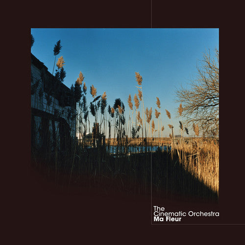 The Cinematic Orchestra - Ma Fleur (Clear Vinyl)