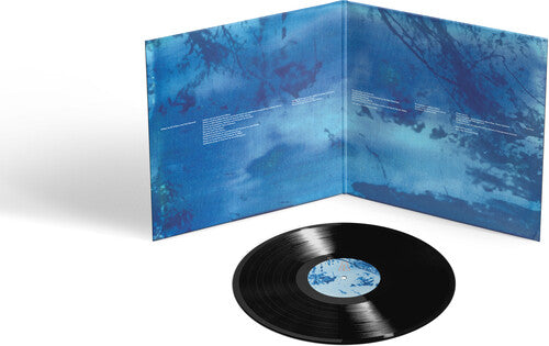 Ed O'Brien - Blue Morpho