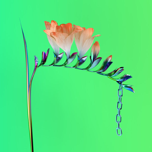 Flume - Skin Companion EP I