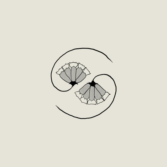 Godspeed You! Black Emperor - G_D's Pee at State's End