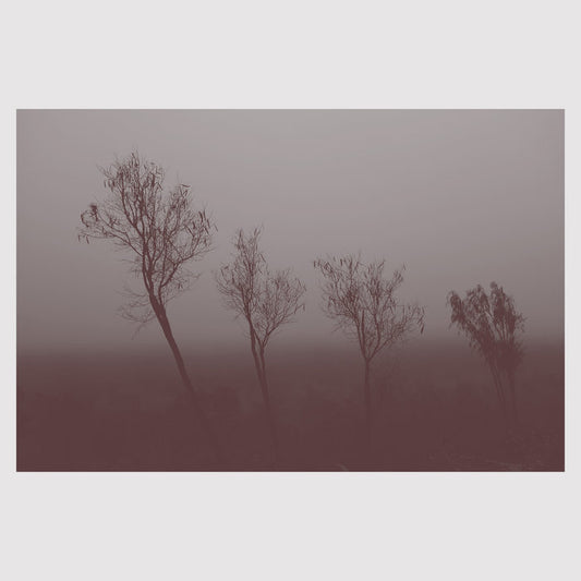 Hand To Earth - Mokuy (CD)