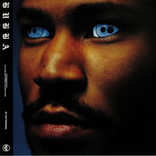 Kaytranada – Bubba (180g 2LP)