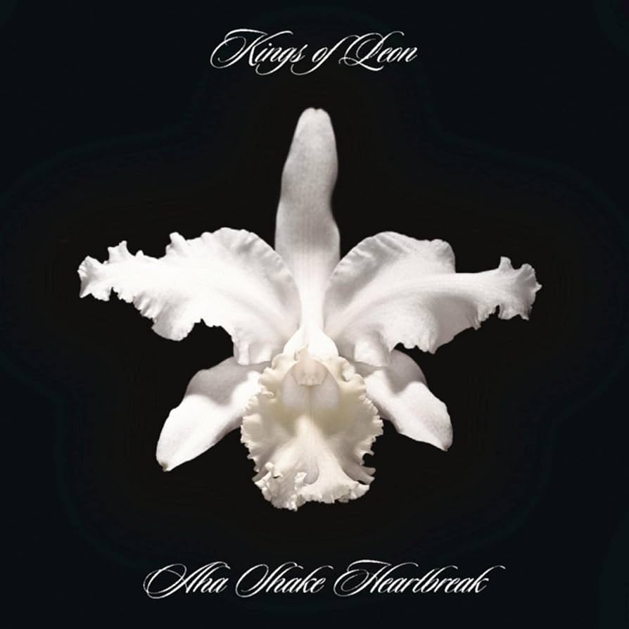 Kings of Leon - Aha Shake Heartbreak