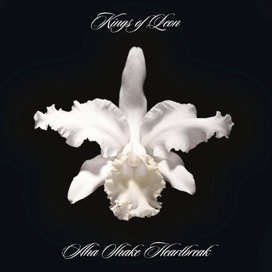 Kings of Leon - Aha Shake Heartbreak