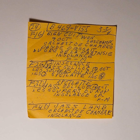 Mac Demarco - Here Comes the Cowboy Demos