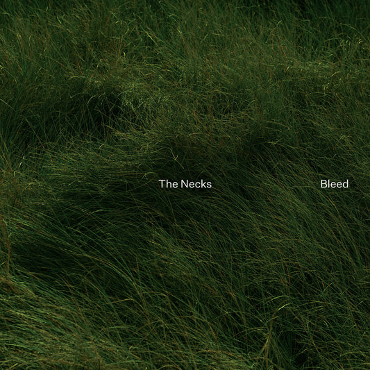 The Necks - Bleed (Digipak CD)