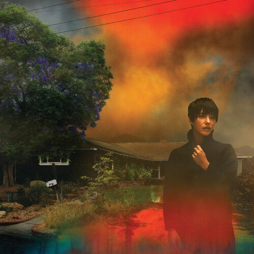 Sharon Van Etten - We've Been Going About This All Wrong (Marble Smoke Gatefold)