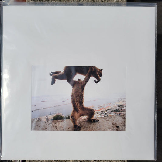 Shellac – Dude Incredible