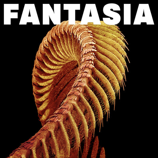 05/06/2026: Slift -  Fantasia (Loser Edition 2LP Mustard Yellow Vinyl)