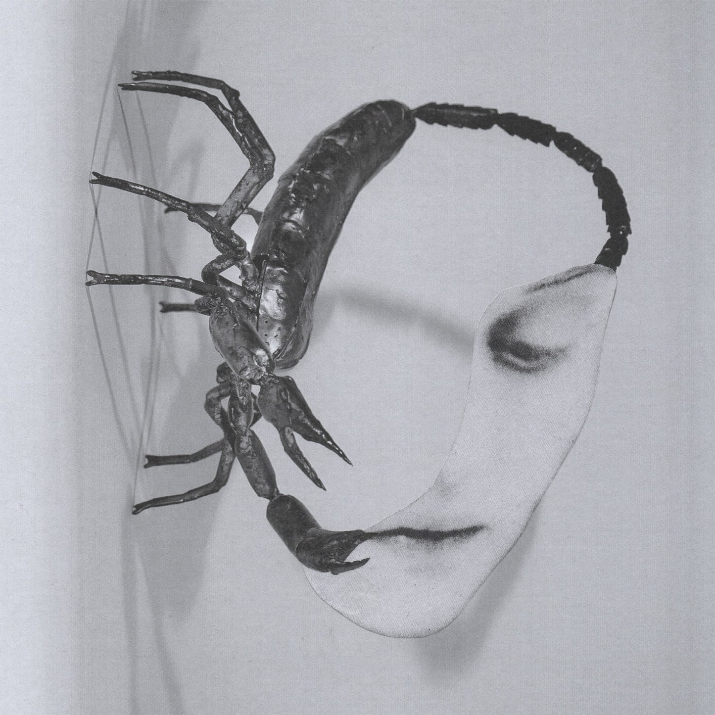 24/10/2025: Tortoise - Touch