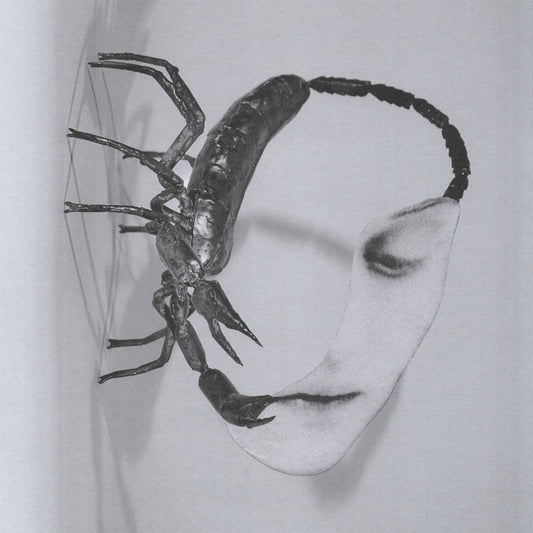 24/10/2025: Tortoise - Touch