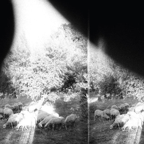 Godspeed You! Black Emperor - Asunder, Sweet & Other Distress